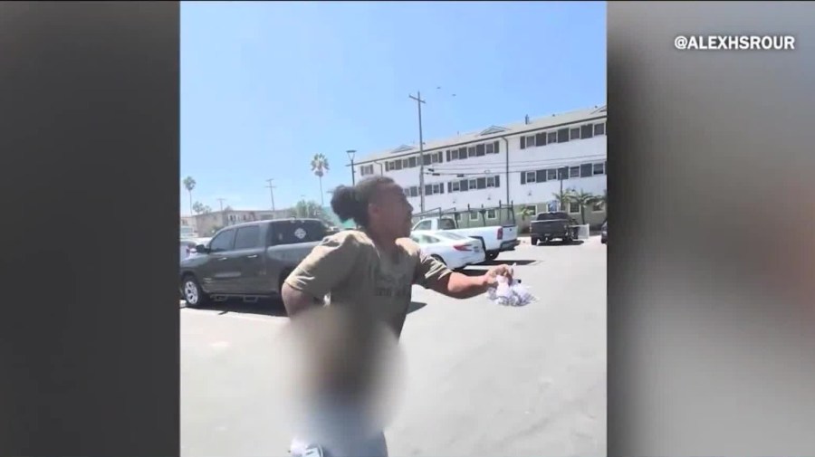 Strange behavior in court from Pacific Beach stolen Tesla suspect