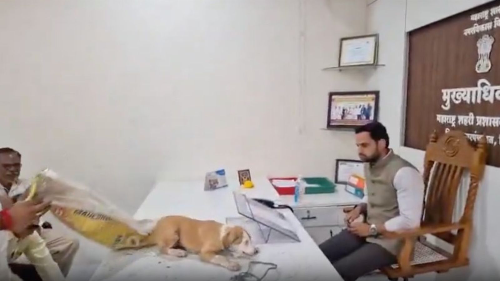 Bags open, dogs out: Sena UBT leader makes a ‘stray’ move at panchayat office