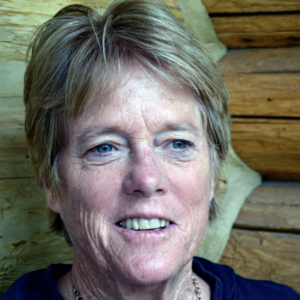 Denver board faces ongoing governance and civility issues | Paula Noonan