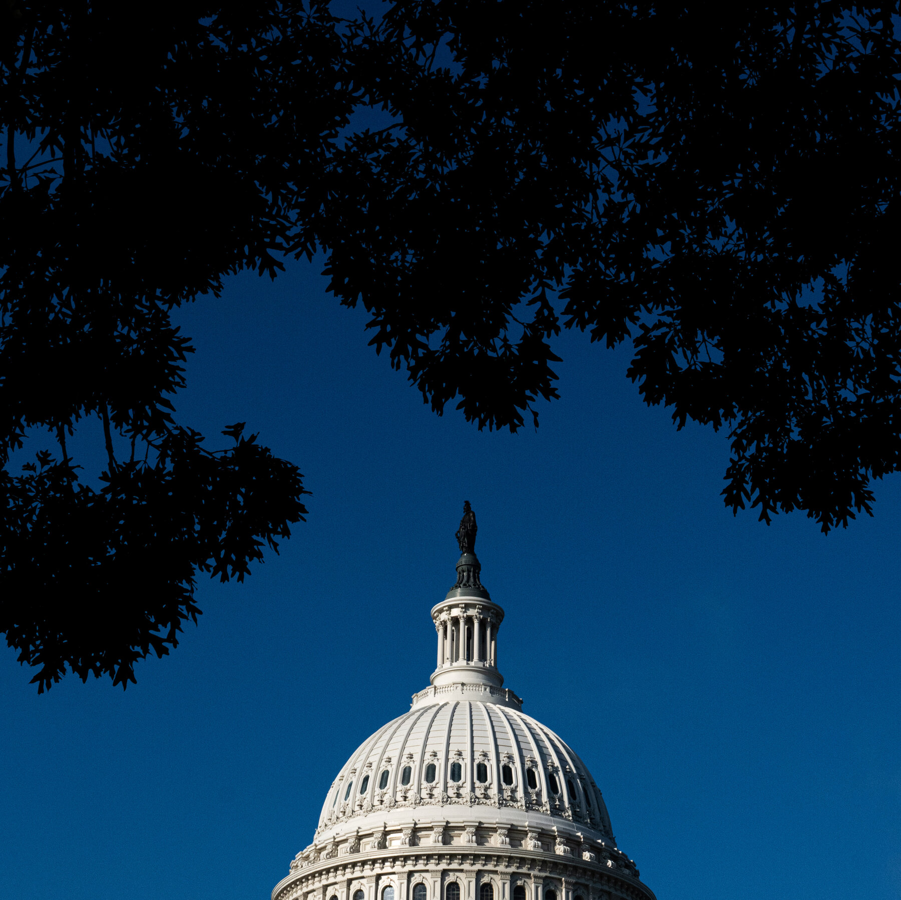 Who Will Win the Midterms? Republicans Are Reeling.