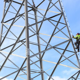 Estonia short on field electricians