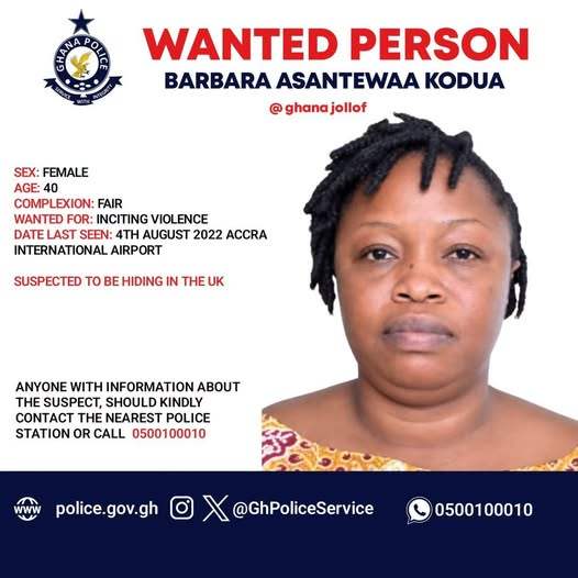 Police declare Barbara Asantewaa Kodua ‘Ghana jollof’ wanted over alleged incitement violence