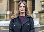 Homeowner whose views have been blocked by an illegal brick wall hits out as developer says he'll replace it with frosted glass - meaning she still won't be able to see the sea