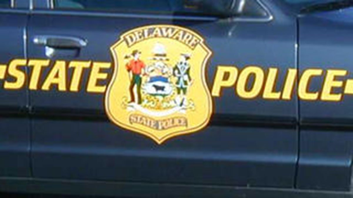 Suspect strikes, robs victim at Delaware bus stop, officials say