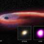 Black holes from stellar to supermassive size may follow one jet-launching rule