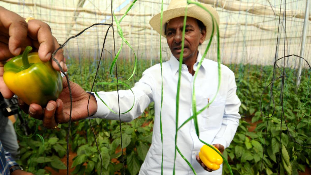 Revenue officials begin verification of lands at KCR’s Erravalli farmhouse
