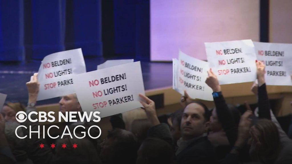 Lincoln Park residents protest Parker School expansion outside City Hall