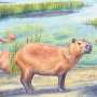 Capybaras in the desert? Fossil casts doubt on Atacama as world's oldest continuously dry region