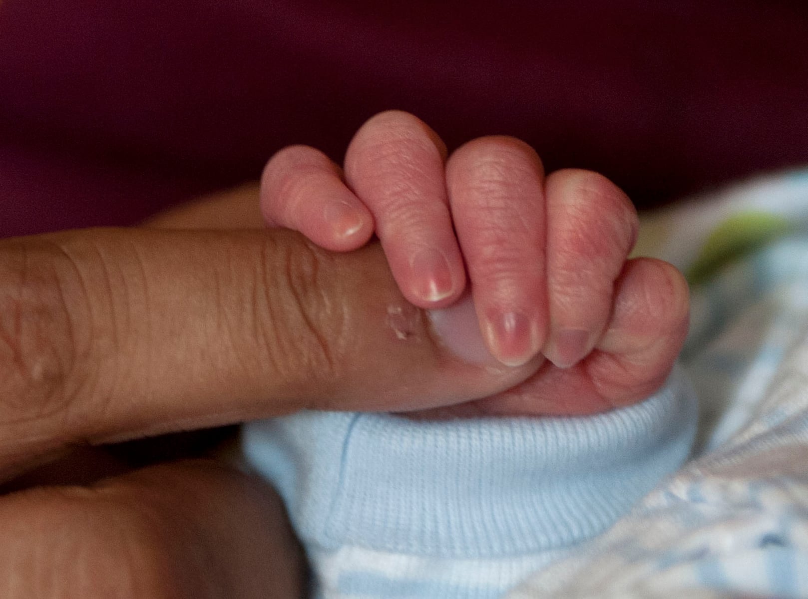 FDA eases compounding rules for preemie nutrition packs as supply shortage looms
