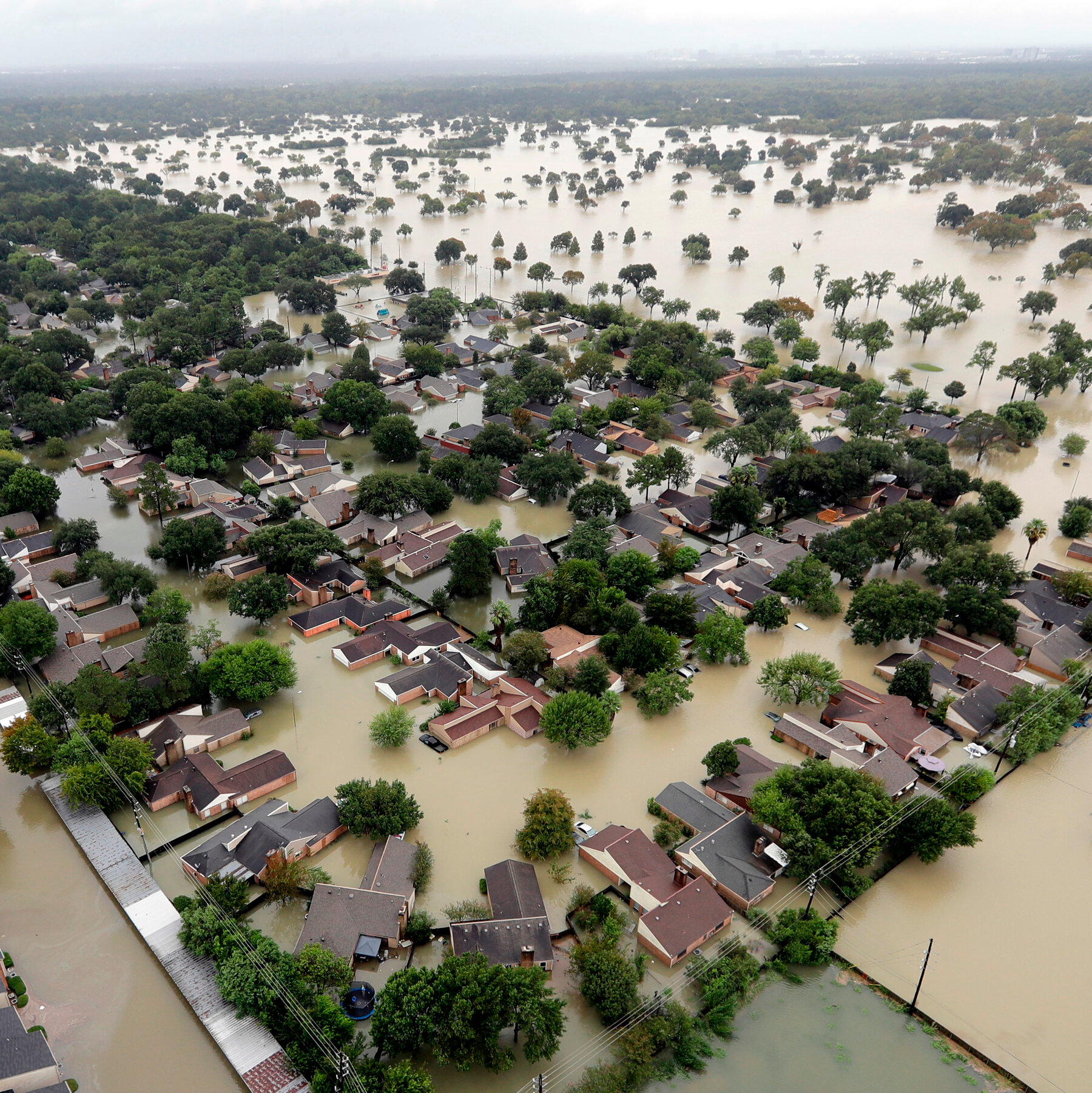 The Racial Disparities of Flood Buyouts