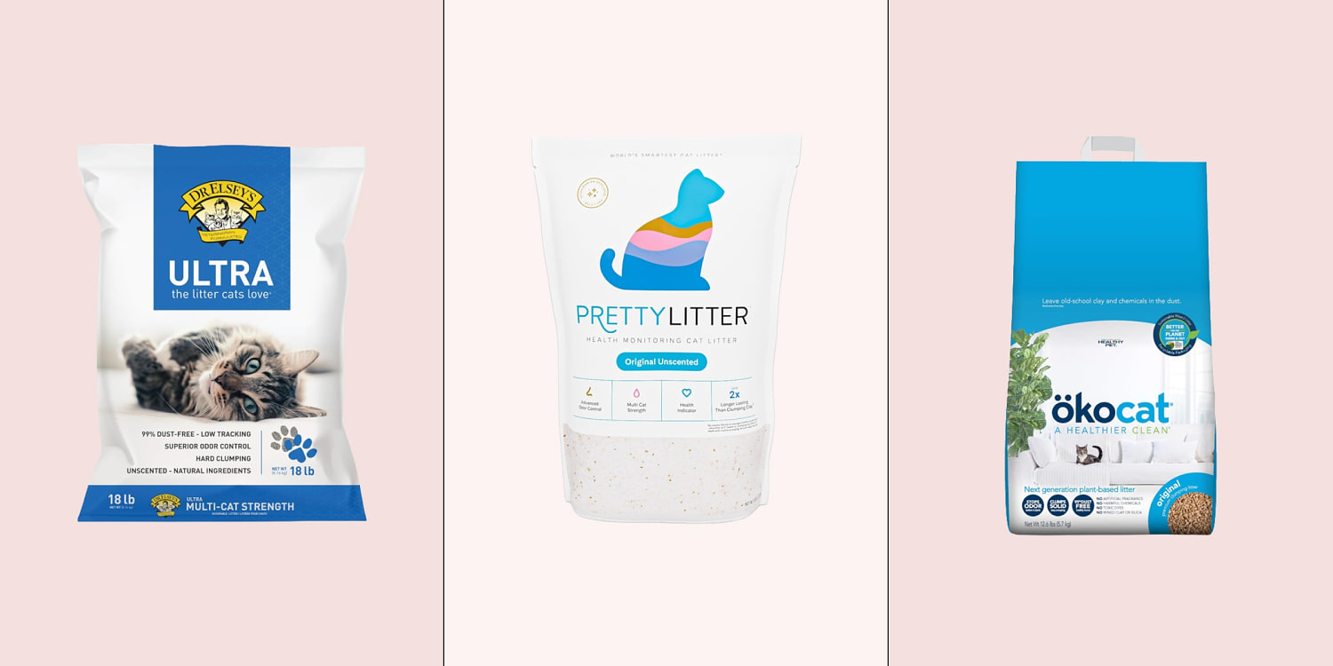 How to find a cat litter your pet loves using — and you don’t hate scooping