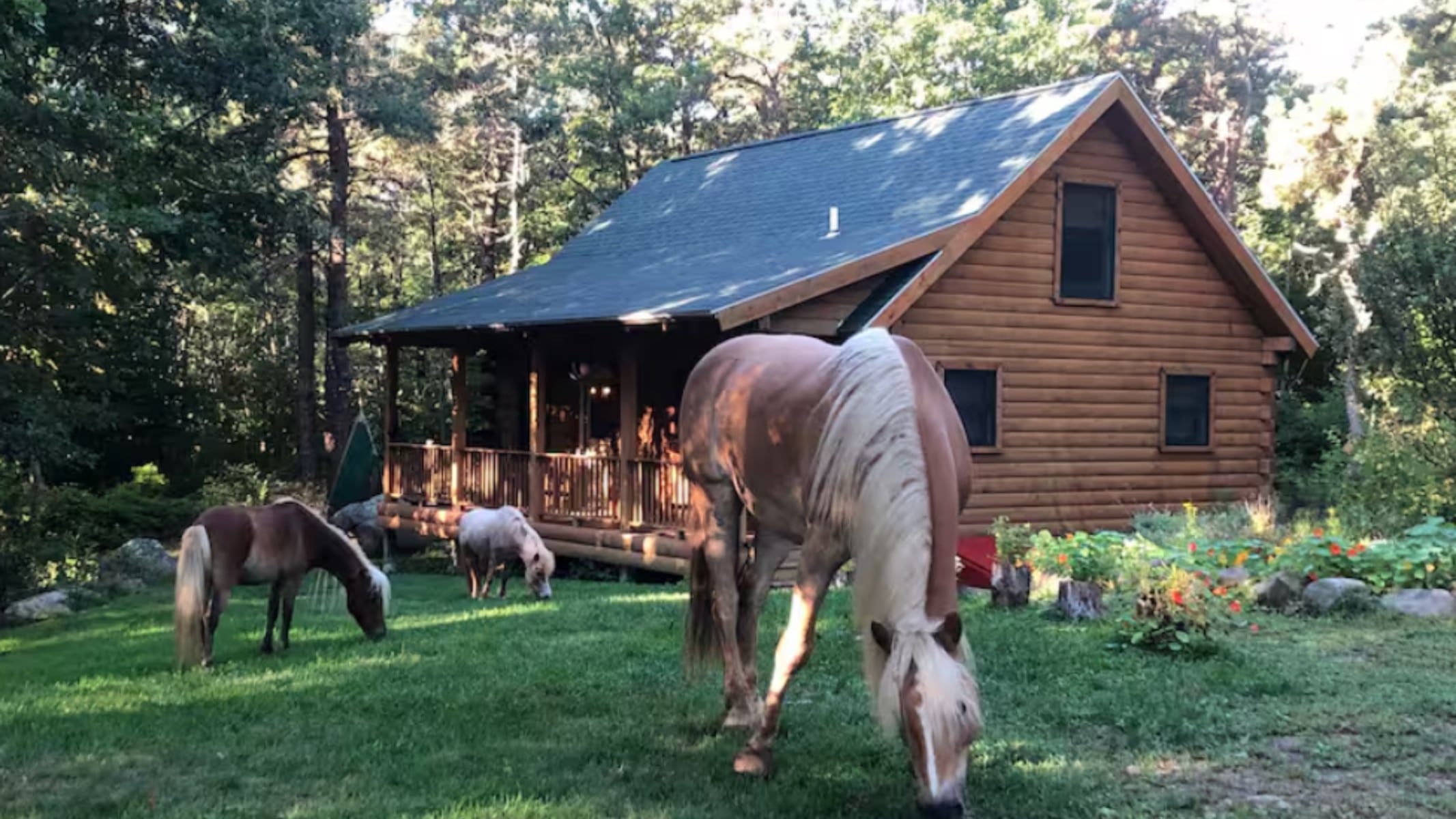 5 best Airbnb cabin rentals in Massachusetts for a fall getaway