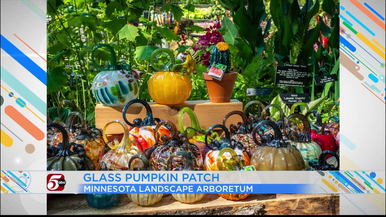 Glass Pumpkin Patch at the Arboretum