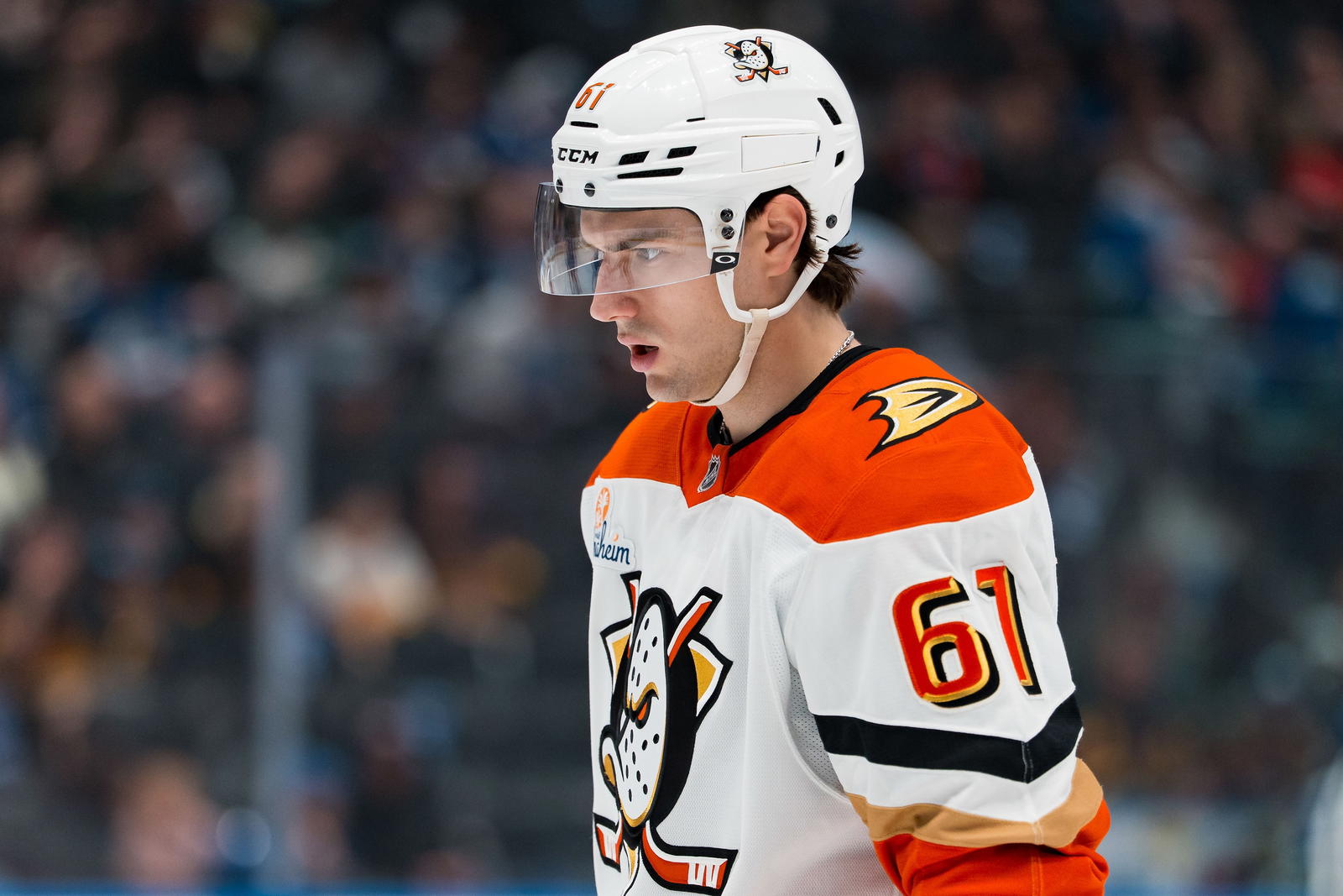The Hockey News Wraparound: Expectations For The Ducks After Cutter Gauthier’s Extension