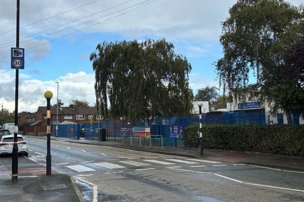Elderly lollipop man struck by car on crossing in front of primary school pupils