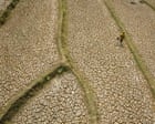 ‘Forcing a reckoning’: How Asia is preparing for a ‘supersized’ El Niño