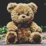 When prepping for disaster, don't forget to pack your teddy bear