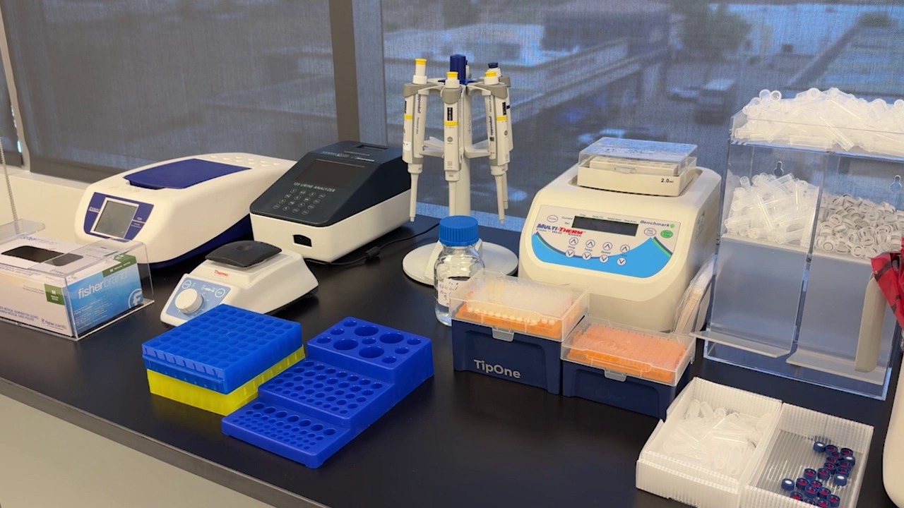 Arizona researchers pioneer autism urine screening targeting gut bacteria