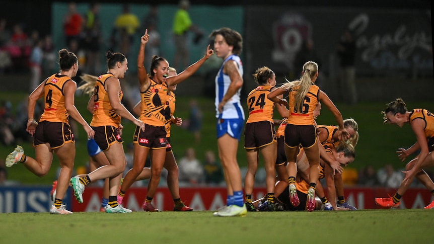 North's record winning streak over after shock loss to Hawks