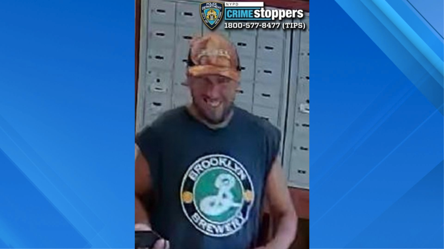 Packages containing high-value sports cards stolen in NYC: NYPD