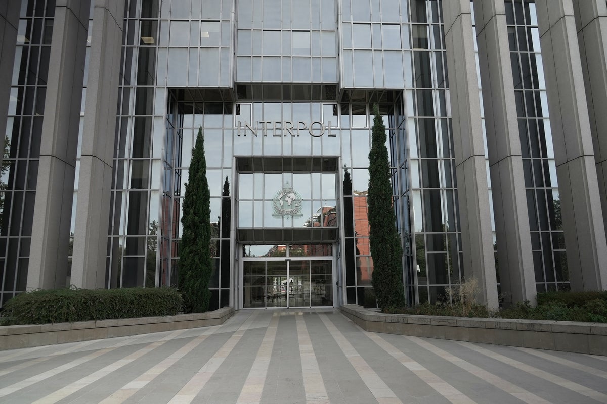 Interpol has a new tool to track down loot that criminals are stashing away around the world