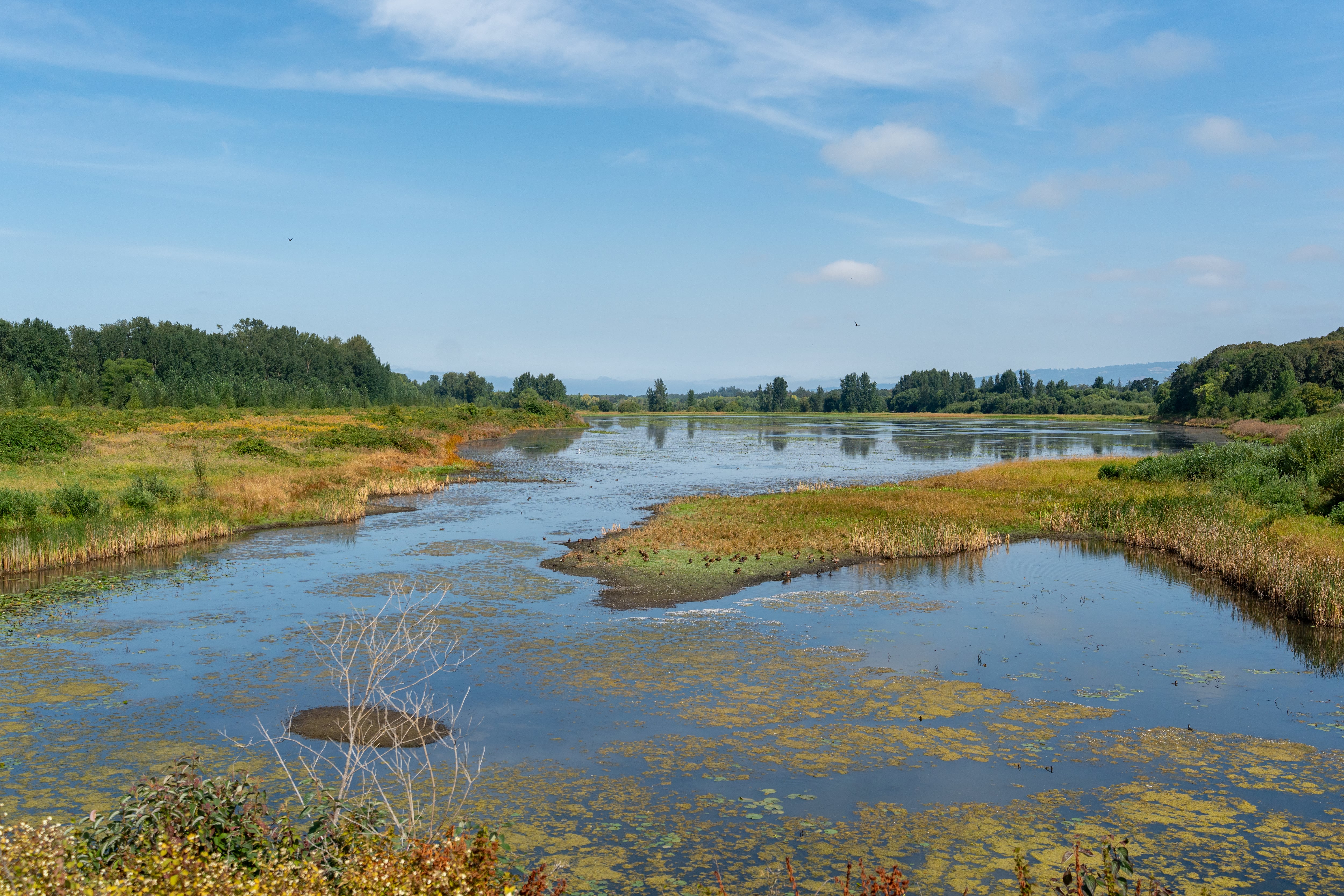 OPB’s First Look: Growth and preservation