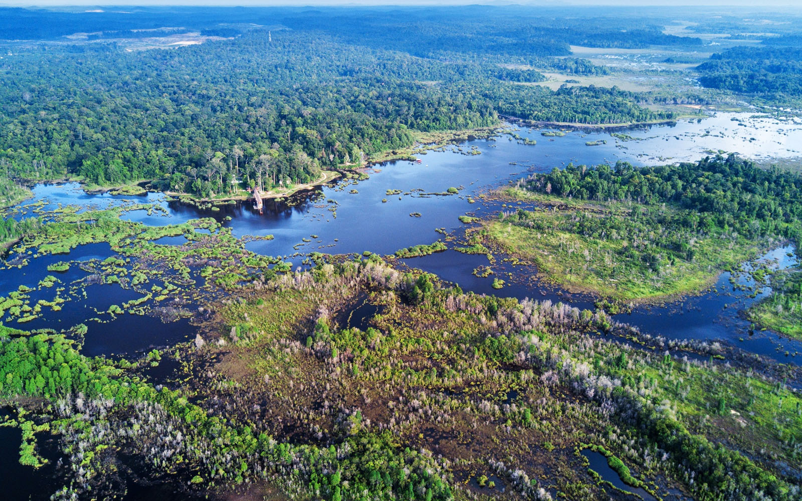 7,000ha of Tasik Bera forest reserve ‘illegally cleared’