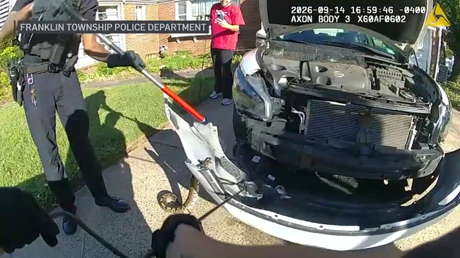 WATCH: Shrieks abound as video shows cops tear apart NJ car grille in wild snake hunt