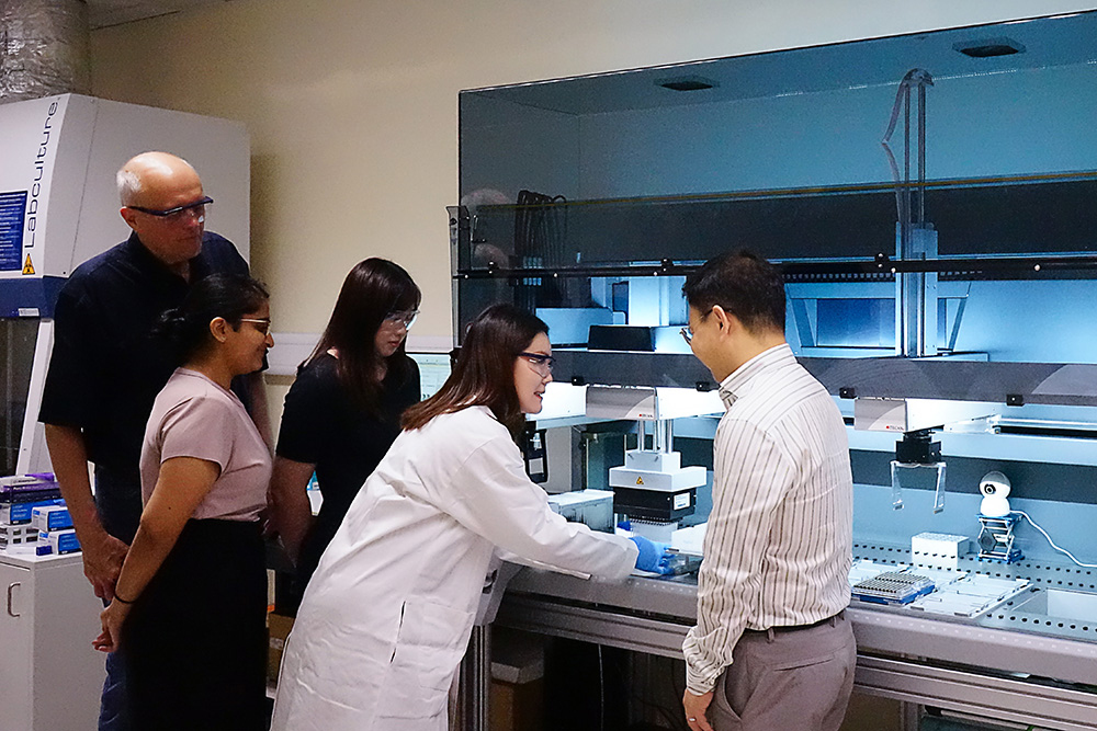 A new understanding of how enzymes influence bacterial protein production