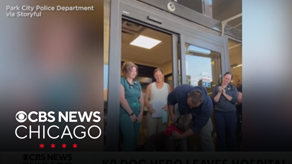 Utah police K9 leaves hospital
