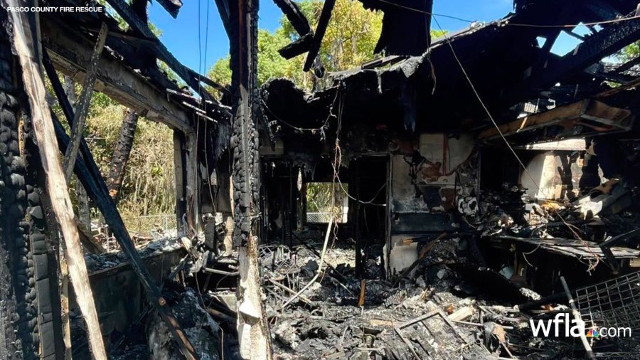Dog dead, 6 displaced after lithium battery fire destroys New Port Richey home