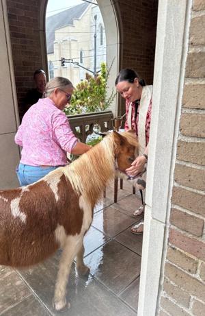 Blessing of the Animals October 4 at St. James Episcopal Church