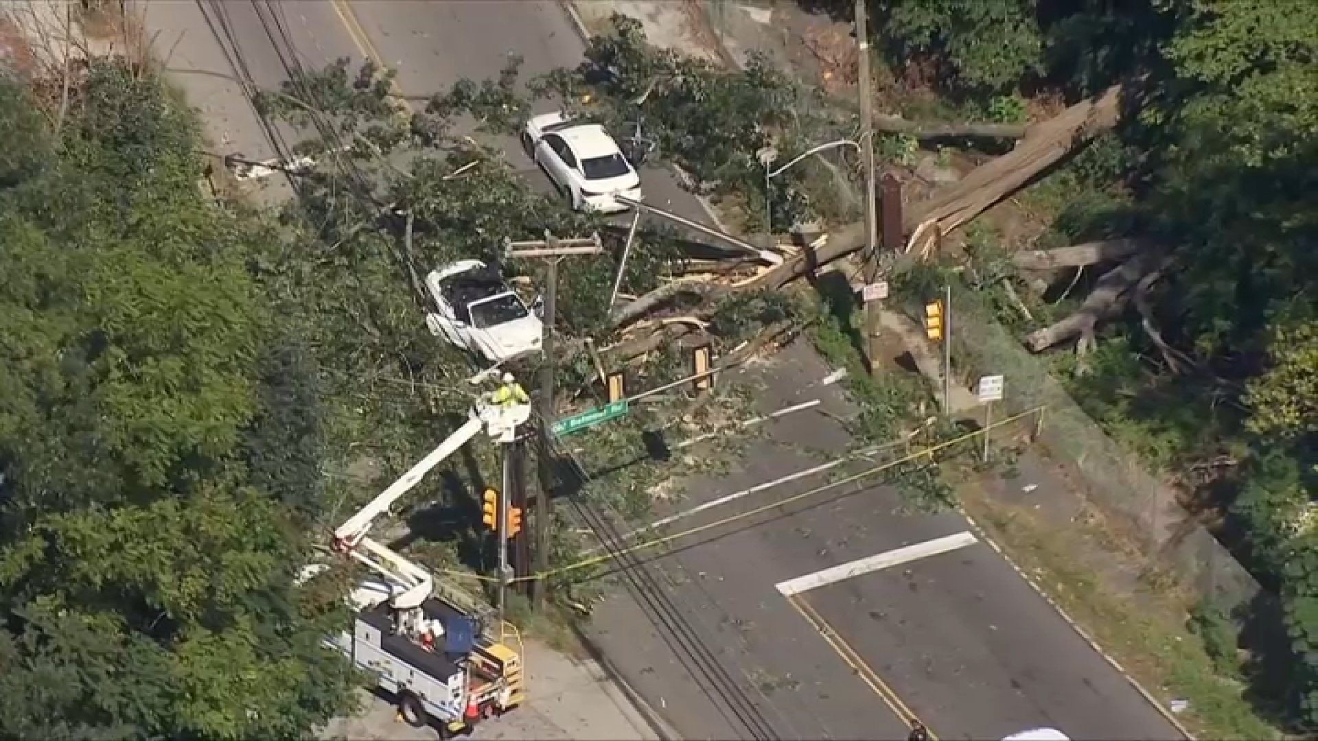 2 hospitalized after massive tree falls onto two cars in Montgomery County