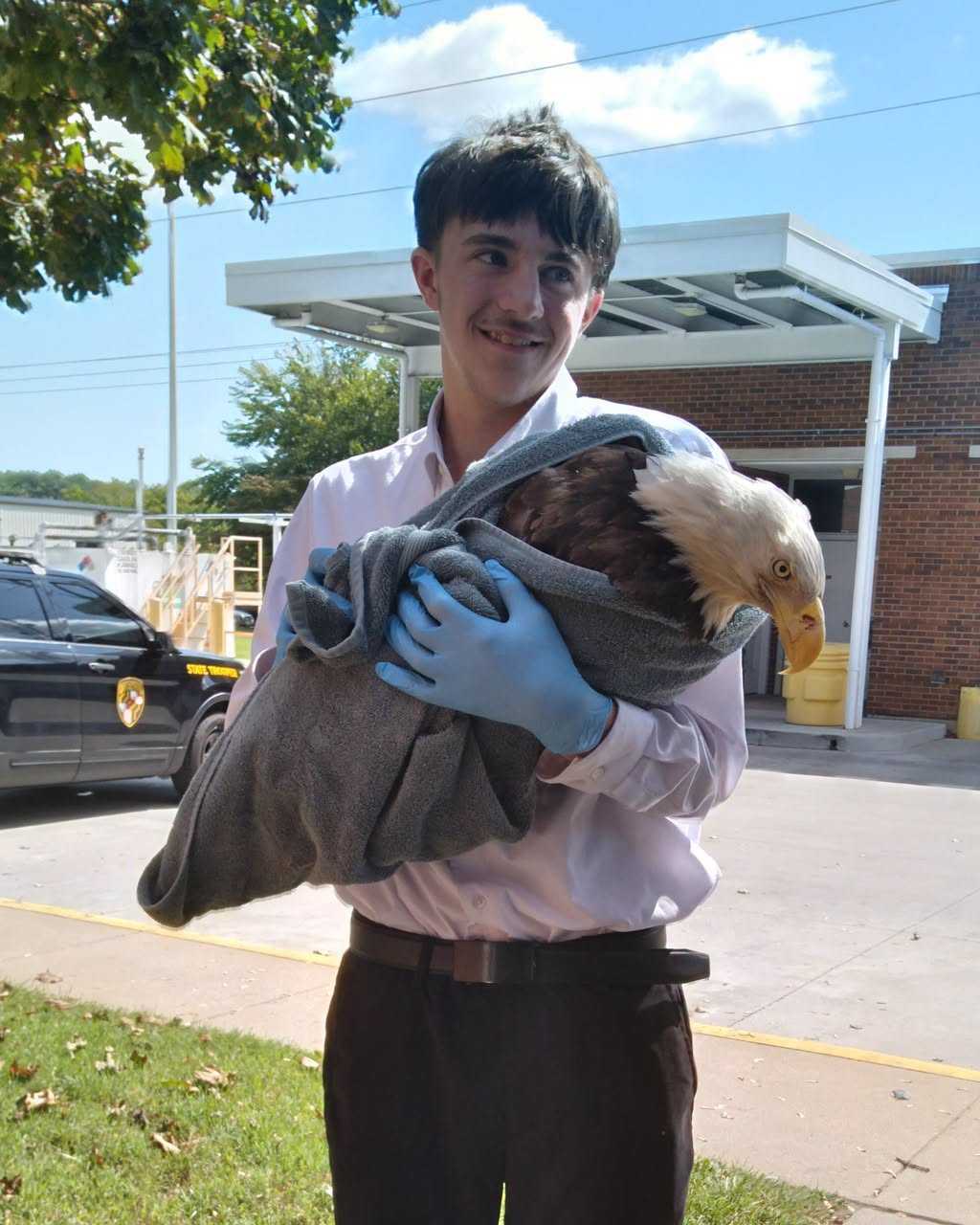 MSP intern, trooper, officer rescue injured bald eagle
