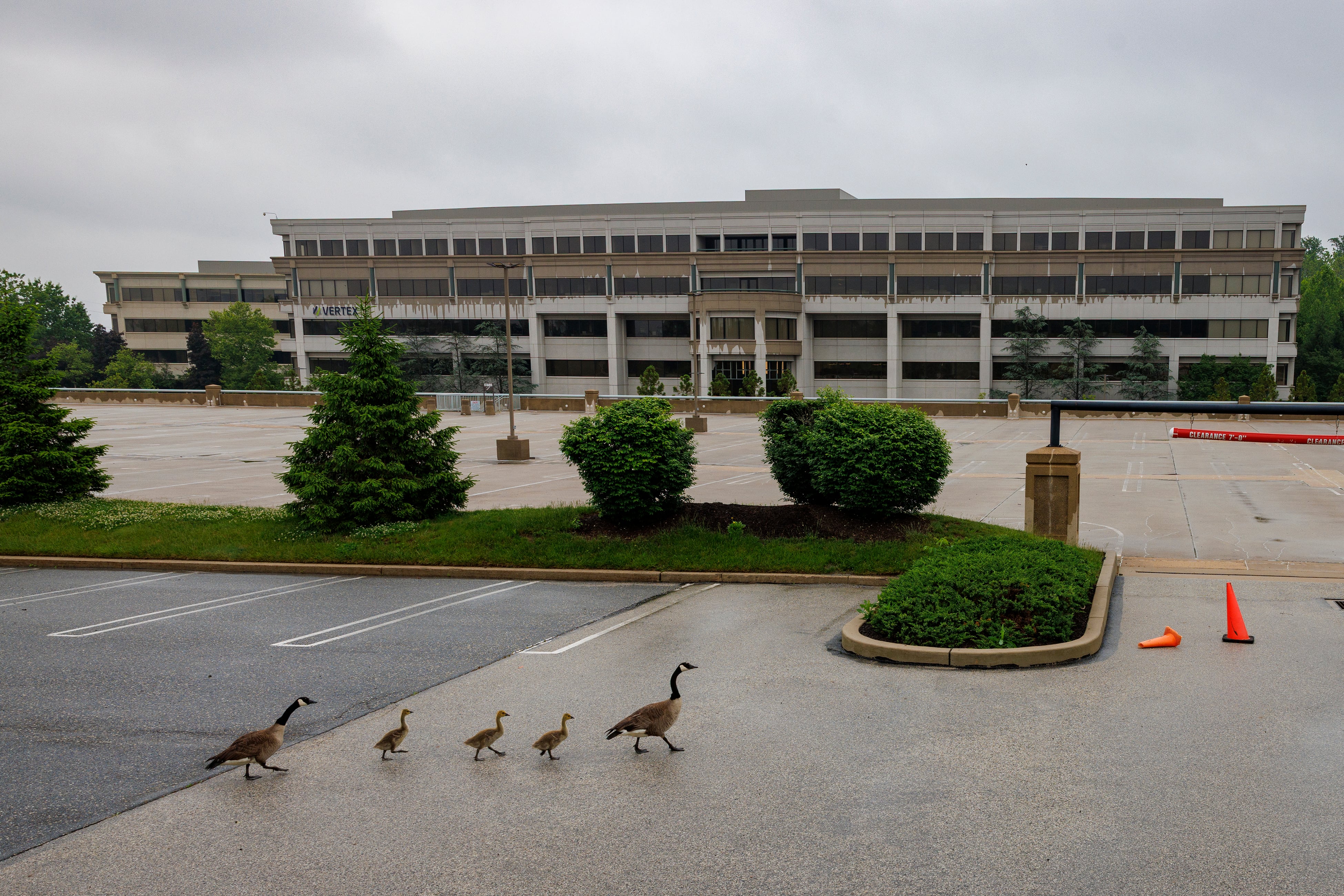 Developer sues Upper Merion Township over rejected King of Prussia data center proposals