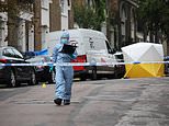 Police launch murder probe after man, 28, is stabbed to death on Islington millionaires' row