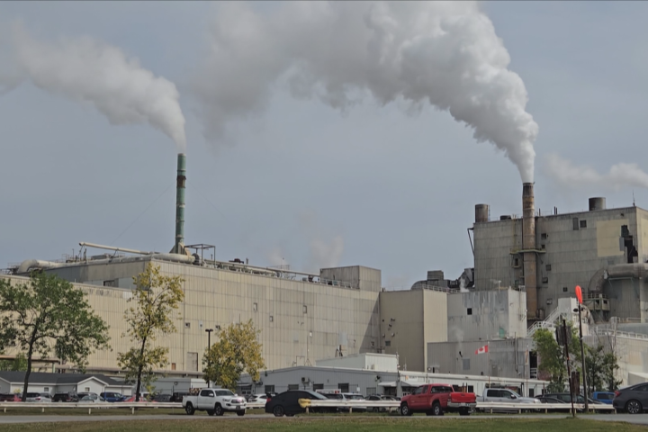 Uncertainty hangs over Nackawic after pulp mill announces temporary shutdown