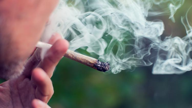 Most North Carolinians support legalizing marijuana, Elon poll finds