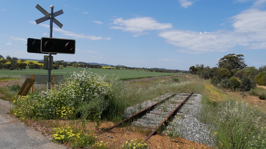 Will making WA's freight network public be cost-effective?