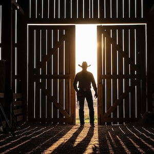 Canterbury farm shed confrontation leads to Jesse Johnson assault conviction upheld on appeal