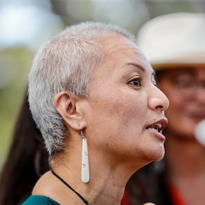 Green Party vows to repeal DoC economic requirement in Conservation Amendment Bill