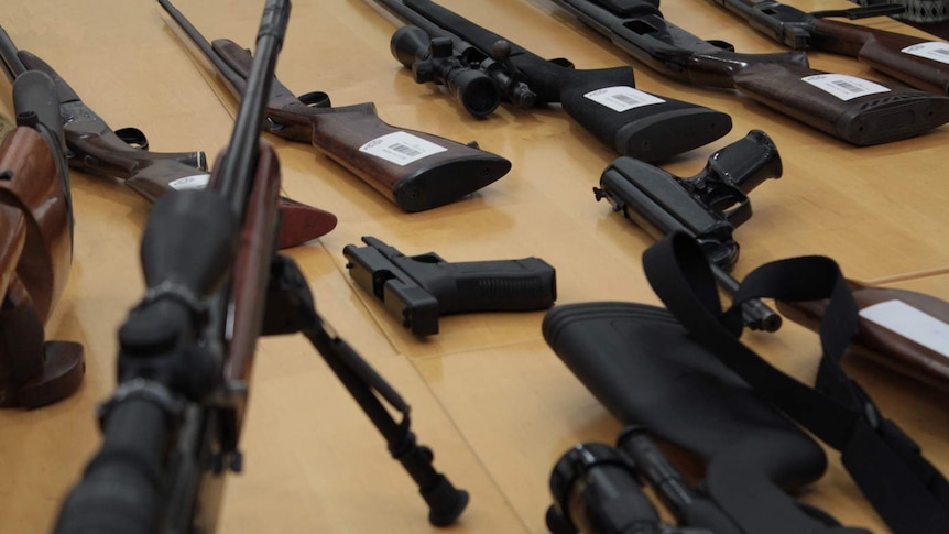 NSW Liberals pledge to scrap gun buyback amid election countdown