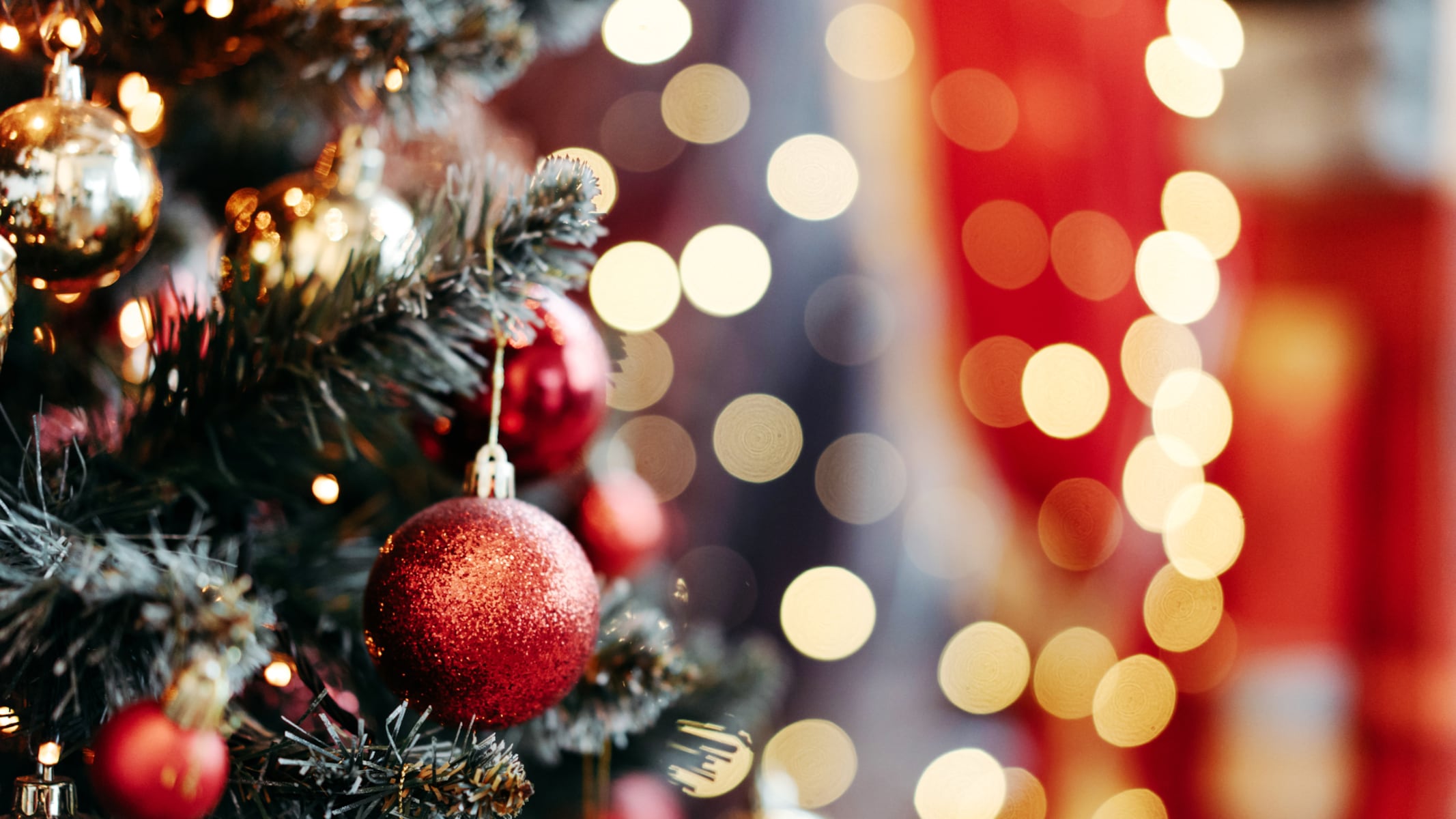 This Christmas tree and lights company has been around for 50 years — now it's filing for bankruptcy