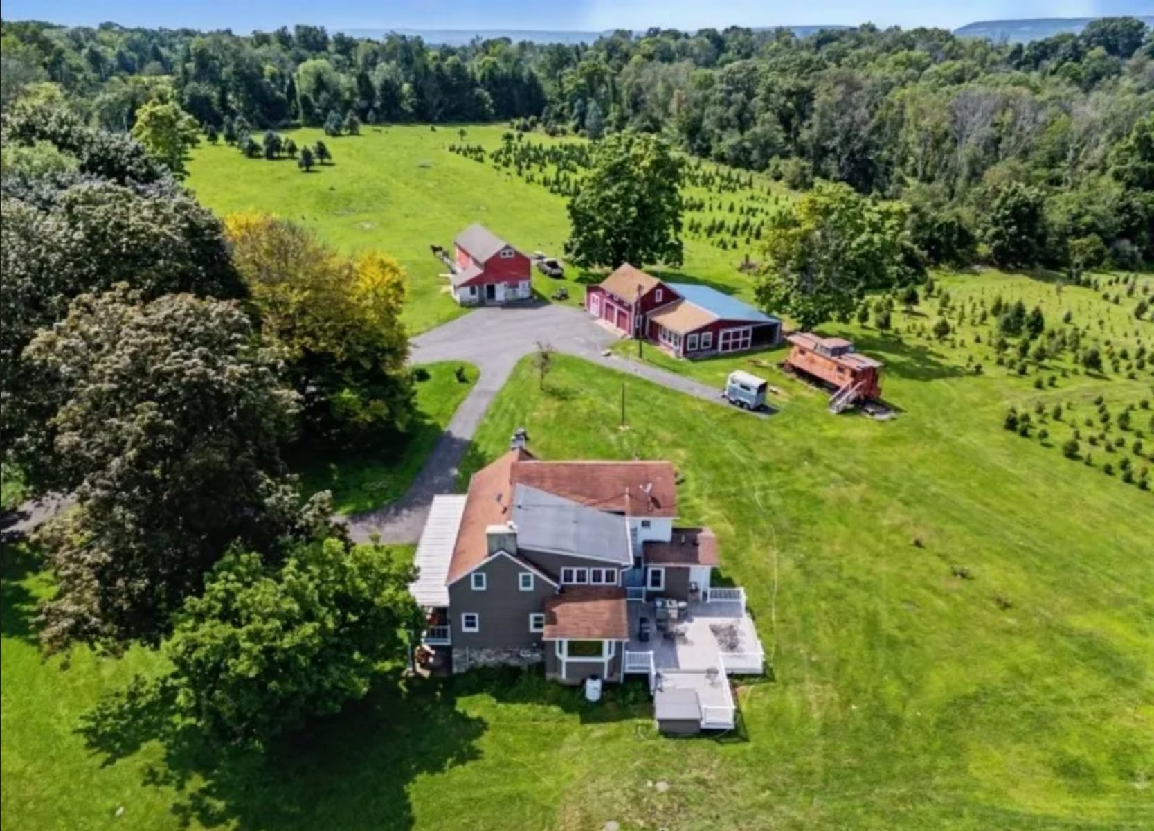 N.J. Christmas tree farm has been in the same family for 80 years — now it’s for sale
