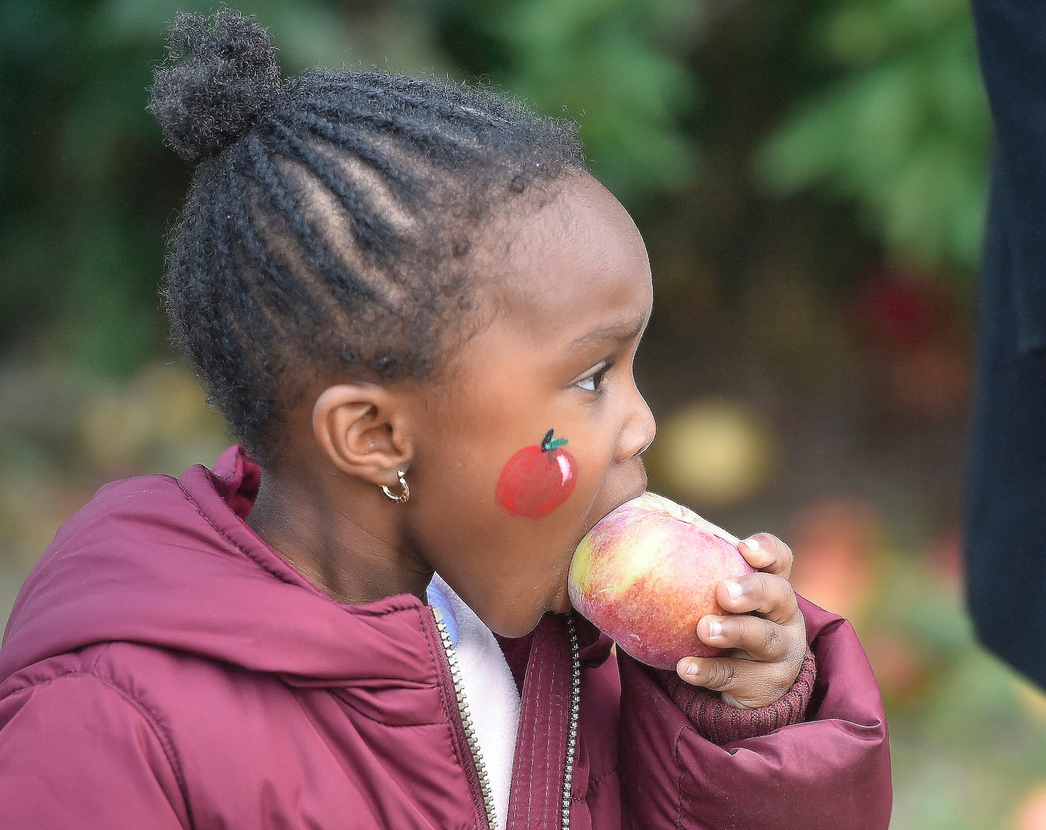 Make core memories: Your guide to apple picking at Central NY orchards this year