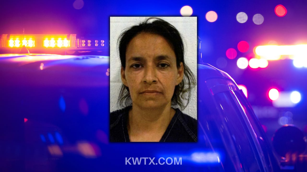 Daycare owner facing up to 10 years after being accused of forcing one toddler to bite another