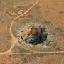 Australia's vast Nullarbor Plain hides deep caves that can teach us about alien worlds