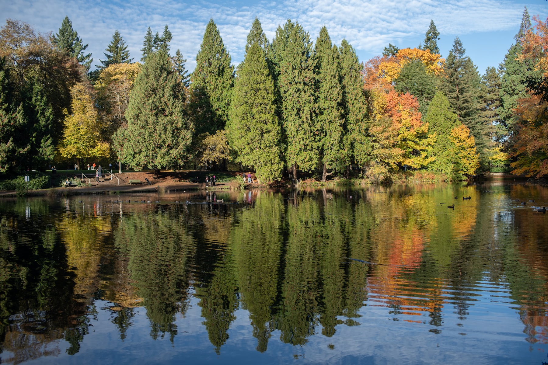 Strong El Niño expected to shape Oregon's fall and winter