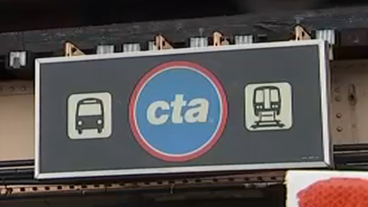 Man struck by train after falling onto CTA Blue Line tracks