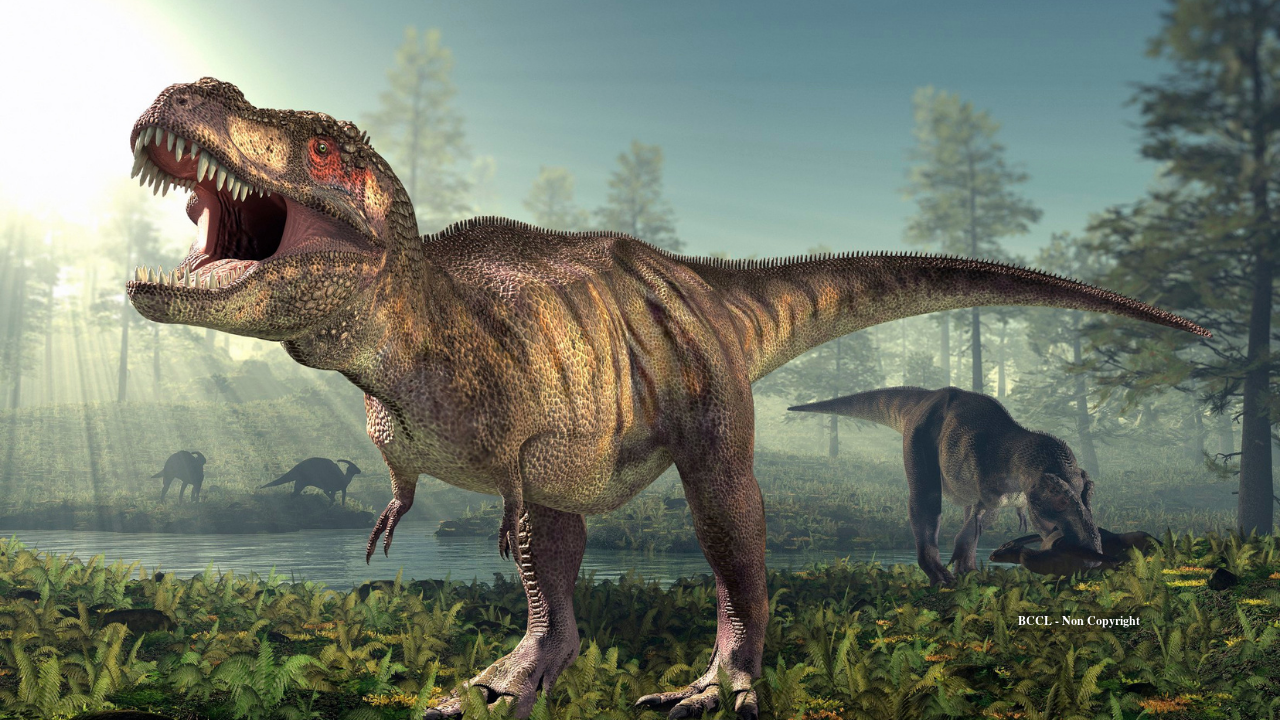 T rex had body temperature of 36.3°C, almost the same as humans